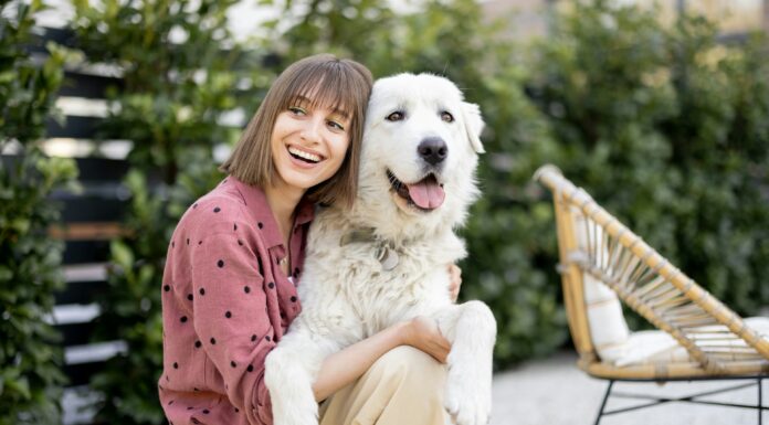 10 Ideas to Help Your Dog Live Comfortably Healthy Dog Live. Photo via Getty Images via Unsplash