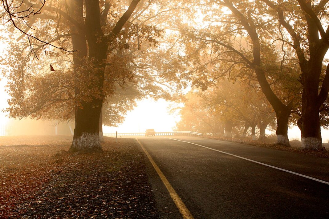 Nightime Visibility. Image by Feyruz Aslanov via pexel Nightime Visibility. Image by Feyruz Aslanov via pexel