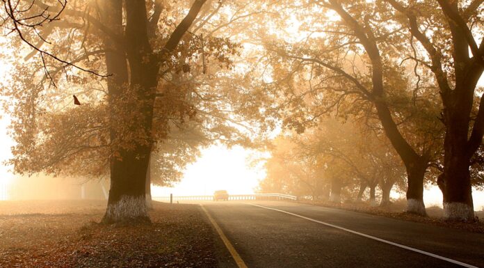 Enhancing Nighttime Visibility: Why High-Quality Driving Lights Matter Nightime Visibility. Image by Feyruz Aslanov via pexel