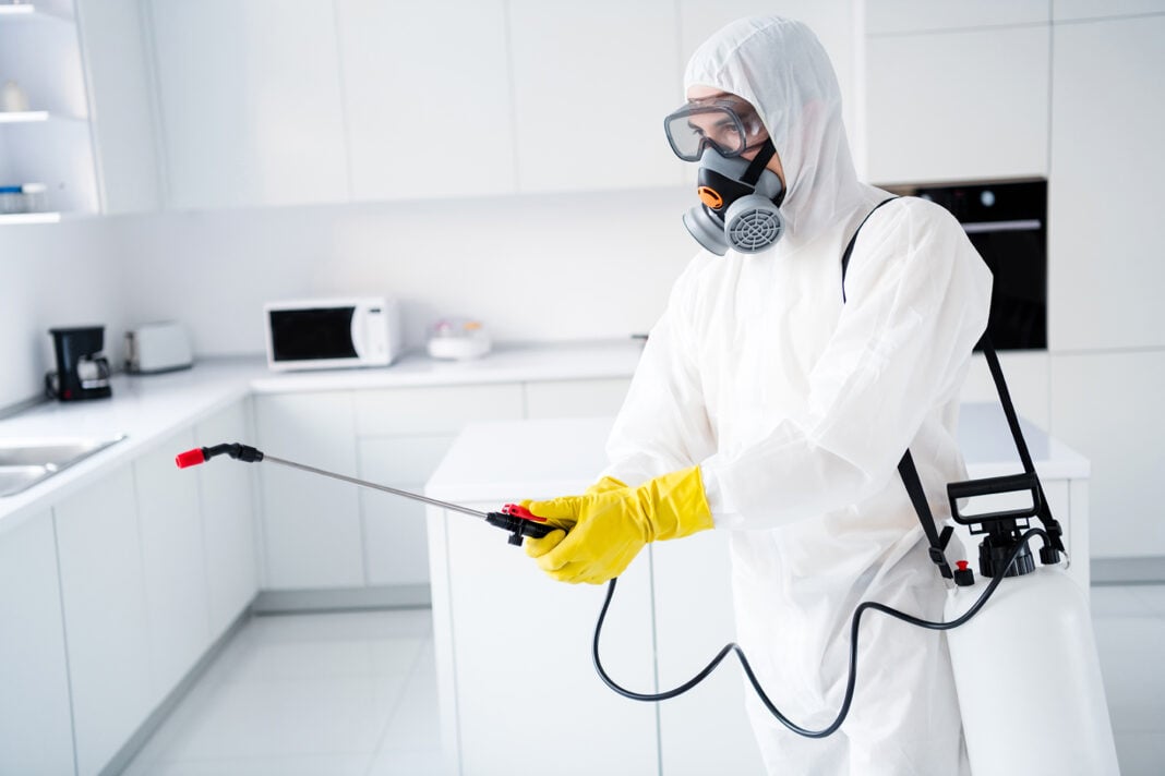 Common Residential Areas Prone to Termite Infestations