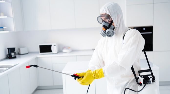 Common Residential Areas Prone to Termite Infestations Common Residential Areas Prone to Termite Infestations