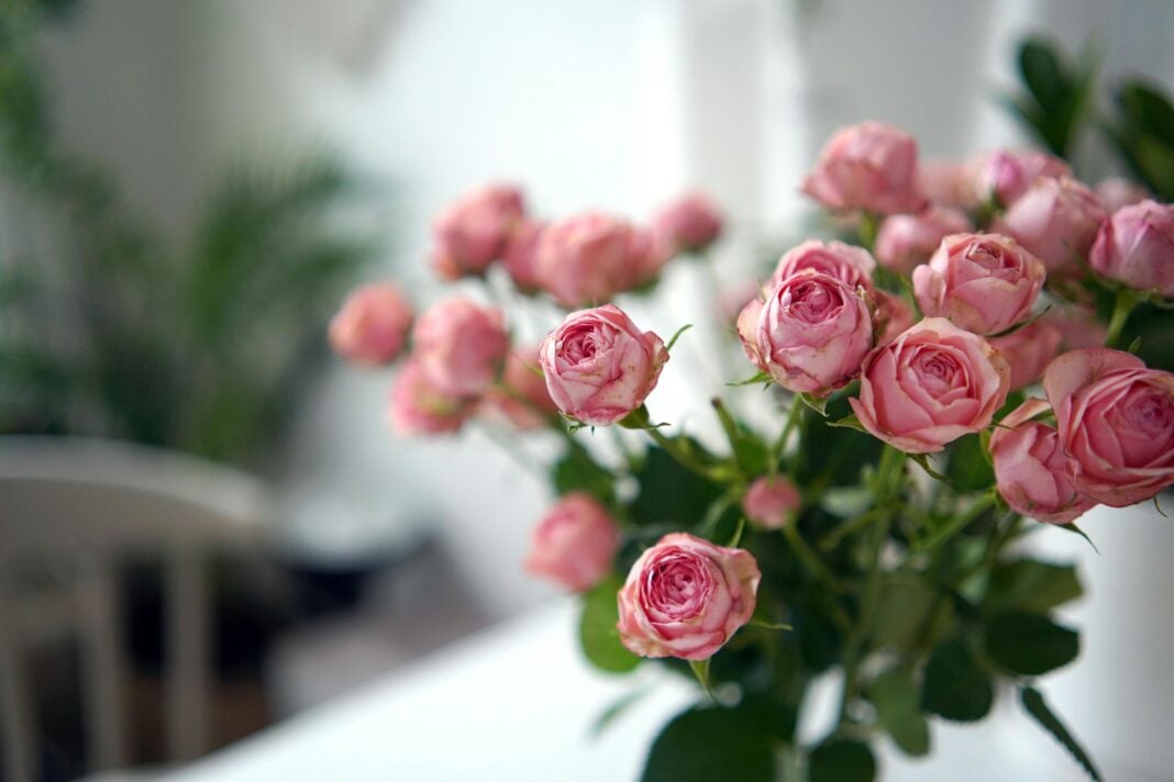 All luxury in your home. Photo via pexels by 604always withlove
