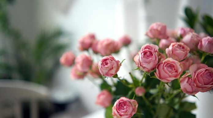 How to Achieve the Look and Feel of Luxury in your Home All luxury in your home. Photo via pexels by 604always withlove