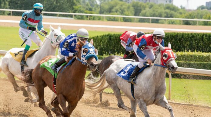 Gulfstream Park: A Premier Destination for Horse Racing Fans Gulfstream Park Destionation for Horse Racing. Image via Pexels by @coldbeer