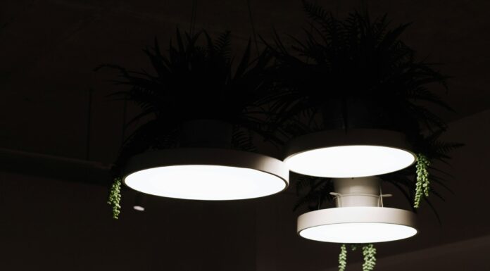 Key Factors to Consider When Buying New Light Fixtures Light Fixtures for your home. Image by Nguyen Dang Hoang via unsplash