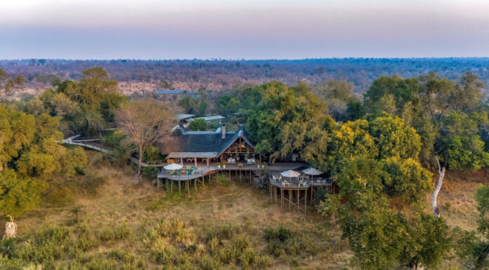 Life-changing Lion Sands Narina Lodge in Kruger National Park Lion Sands Narina Lodge in Kruger National Park