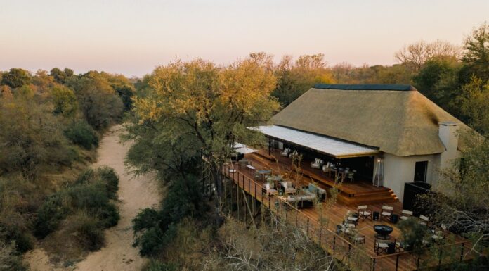 Soulful Simbambili Game Lodge in South Africa’s Sabi Sand Game Reserve Soulful Simbambili Game Lodge
