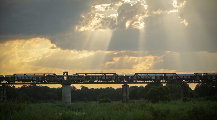 Discover Luxury at Kruger Shalati’s Bridge House Suites Kruger Shalati’s Bridge House Suites