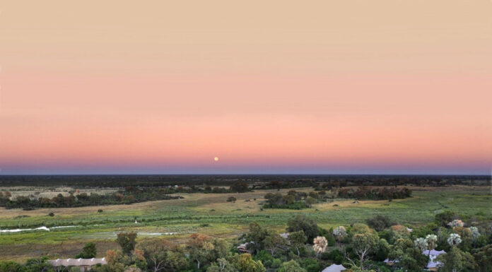 Astounding Atzaró Okavango Camp in Botswana’s Okavango Delta Atzaro Okavango Camp