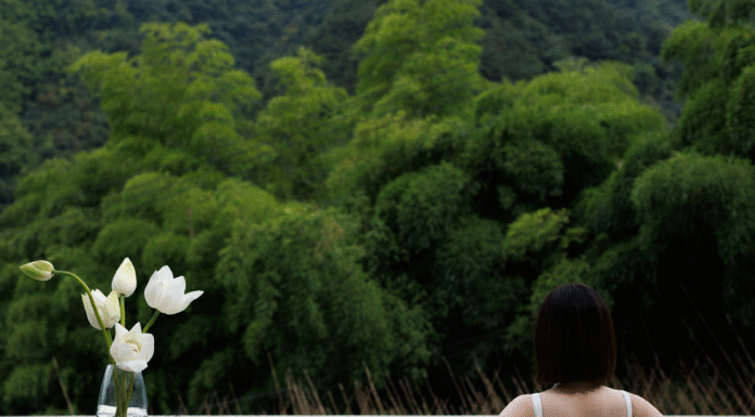 How Fragrance Quality Influences Ambiance Air fragrances