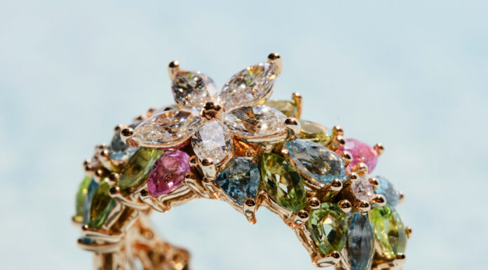 The Apple Seed Collection by Bee Goddess: A Meditation on Growth, Energy & Becoming Bee Goddess