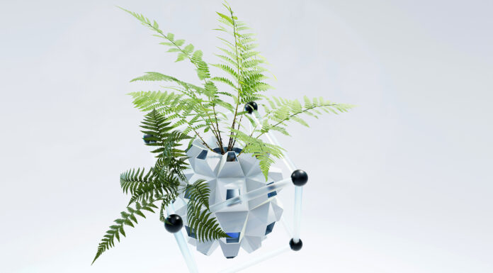 From Family Tradition to Eco-Innovation: The SeedPrint Story Eco-Innovation. Image by Galina Nelyubova via Unsplash