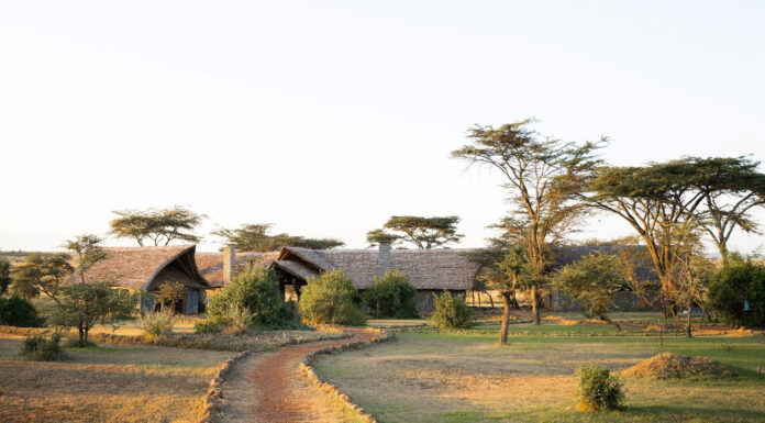Discover the Beauty of Naboisho Camp in Kenya’s Mara Naboisho Camp