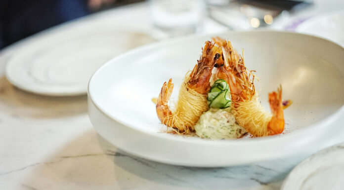 Gourmet Without Fear: How Food Allergy Immunotherapy is Redefining Fine Dining Nice gourmet plate. Photo by Pan Xiaozhen via unsplash