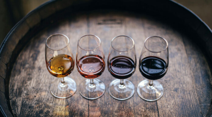 Diving Down the Wine Glass; Understanding Regions, Tasting Techniques, and What to Look For Wine glasses. Photo by Maksym Kaharlytskyi on unsplash