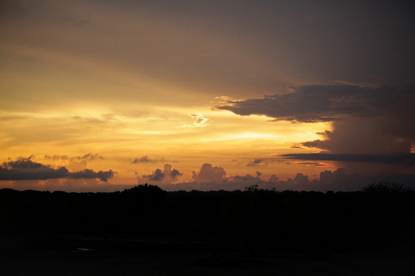 A magnificent sunset as we leave Yala National Park. Photo by Heléne Ramackers