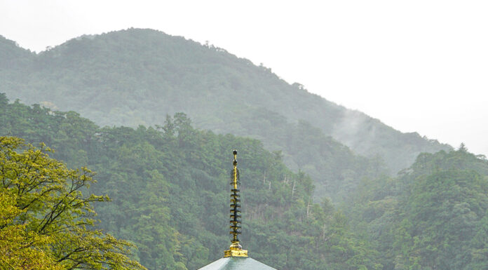 Forget Ordinary. Aura World Is Your Backstage Pass to the Planet The Kumano Kodo Pilgrimage Routes