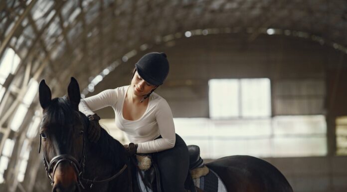 When Should You Upgrade to Women’s Breeches? A Woman riding a horse wearing breeches. Photo via pexels by Gustavo Fring