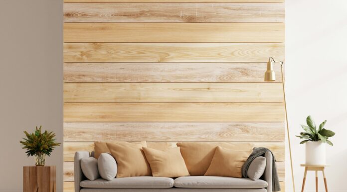 How Multi-Functional Sofa Beds Are Changing Modern Living Spaces Beautiful Sofa Bed in the living room. Photo by Getty Images via unsplash