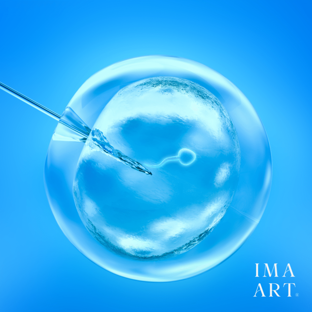 IMA ART Fertility