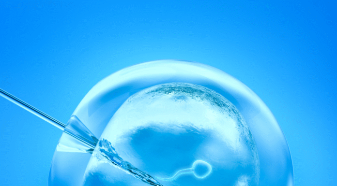 Creating Families with Discretion – IMA ART Luxury Fertility Concierge IMA ART Fertility