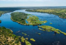 Tsowa Safari Island Birds Eye