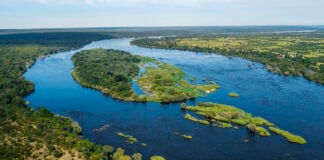 Tsowa Safari Island Birds Eye