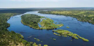 Tsowa Safari Island Birds Eye