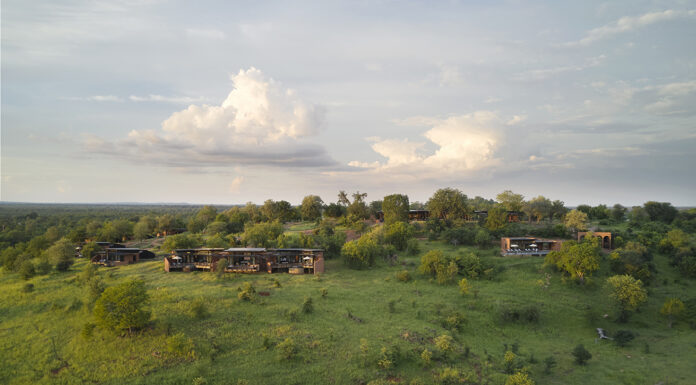 Chichele Presidential, Fit For Royalty Chichele Presidential, Fit For Royalty