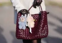 Labubu Quirky Monster Cham. Photo source NBC News