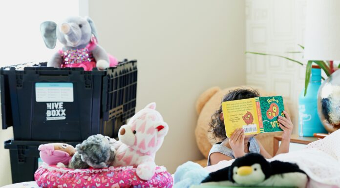 An Honest Review Of Millie And Jones (2025) Millie and Jones review. Photo by hiveboxx on unsplash