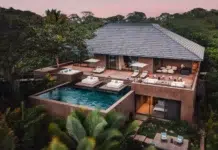 OneOnlyMandarinaDrone