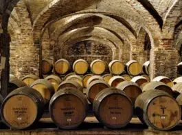 Santa Rita Barrels-Cellar