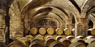 Santa Rita Barrels-Cellar
