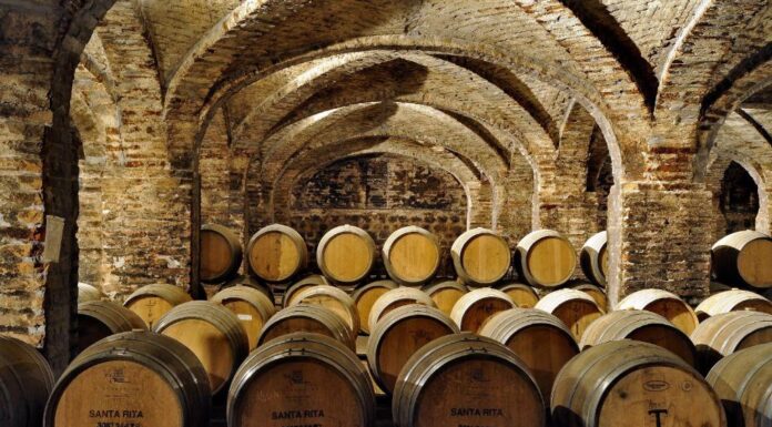 South American Wines Rely on the Andes Mountains Santa Rita Barrels-Cellar