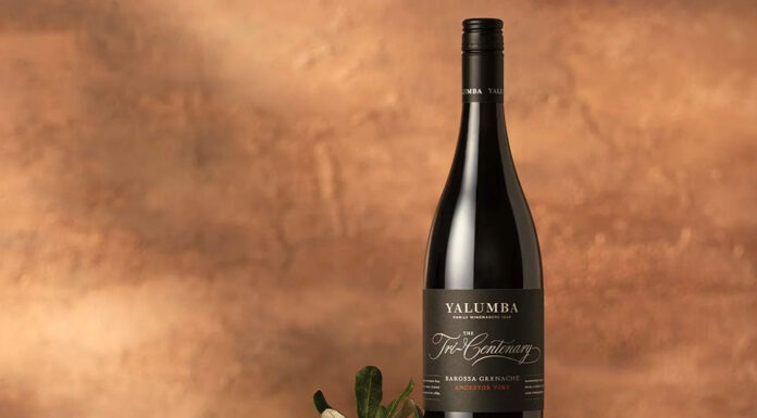 Why Grenache Wine Deserves More Respect – Day 25 yalumba wine from Grenache Vineyard