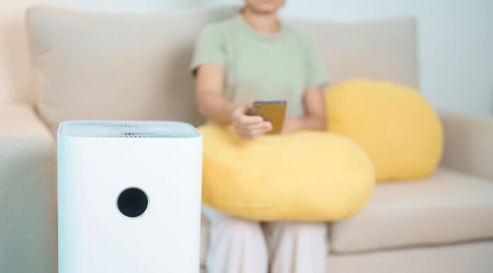 Portable AC vs. Ceiling Fan: Which Works Best in the Summer?