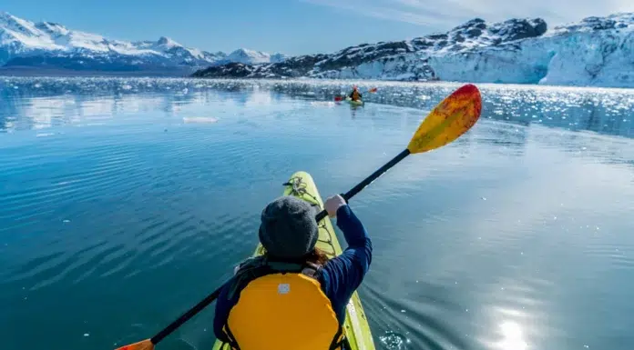 Arctic Luxury: A Curated Guide to High-End Winter Escapes in Alaska A female kayaker paddles through Glacier Bay National Park, Alaska.
