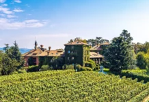 Italy in Slow Motion: Lakes, Vineyards & the Art of Leisure Albereta complex from vineyards