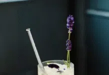 Parabola Apple: The Newt’s Signature Sip of Somerset PARABOLA COCKTAIL from Newt Somerset