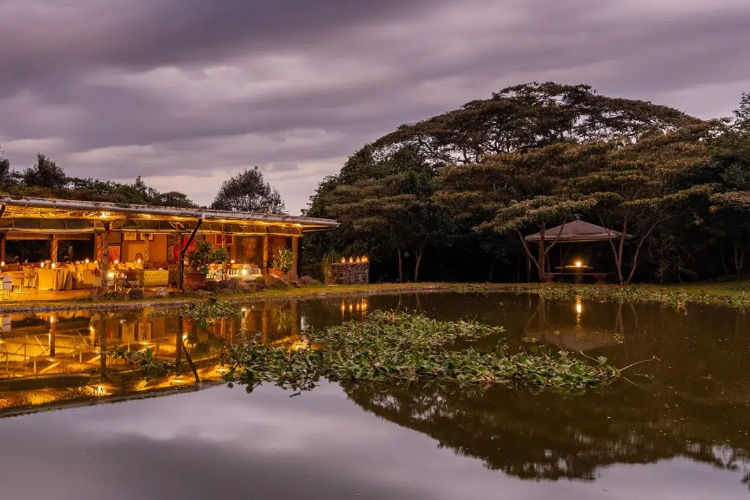 The Deck and egg bar evening view The Deck and egg bar evening view