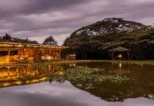 A Serene Escape at Hemingways Eden Residence The Deck and egg bar evening view