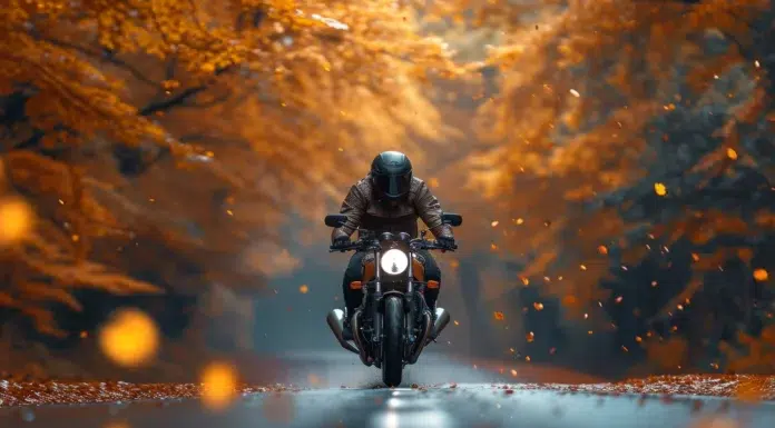 Two-Wheeler Insurance Claims: The Common Mistakes Riders Make and How to Avoid Them a-two-wheeler motorcycle-rider-on-a-road-in-autumn. Photo by Yulia Gapeenko via media