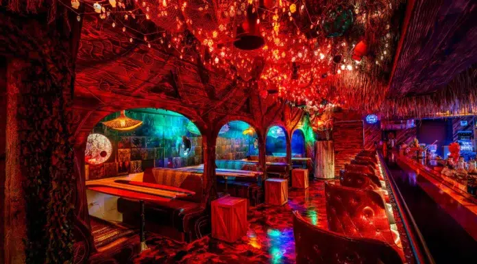 Where New York Drinks Beautifully Courtesy of Paradise Lost Bar/Courtesy of Noah Fecks