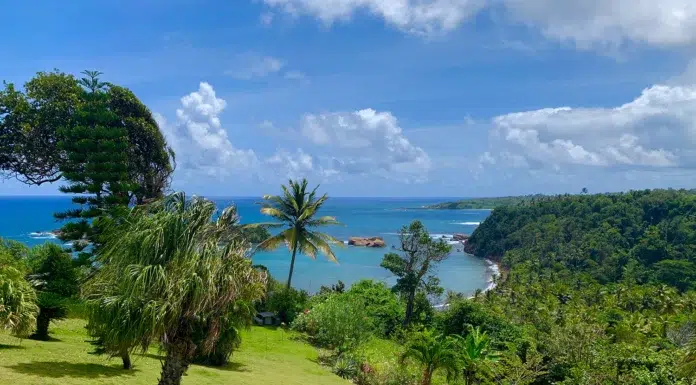 Dominica, San Jose, and Caribbean Gin Sea Cliff Dominica, San Jose