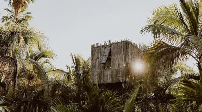 Sleeping Above the World, Luxury Treetop Hotels Acre Resort Treetop