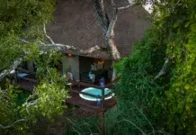Staying Ahead Of The Game At Sabi Sabi Little Bush Camp Little Bush Camp - Luxury Suite