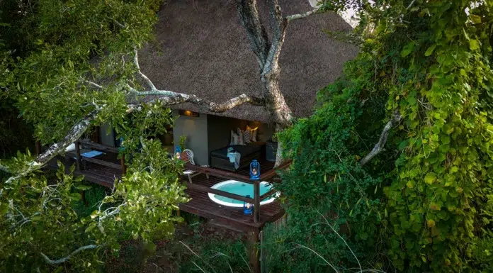 Staying Ahead Of The Game At Sabi Sabi Little Bush Camp Little Bush Camp - Luxury Suite