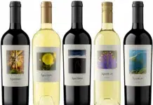 Inside Aperture Cellars, One of Sonoma’s Most Artistic Wineries 2026 Aperture Cellars, one of Sonoma's Most Artistic Wineries