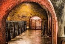 Italy’s Most Compelling Wines Right Now Alta Langa Coppo underground cellar